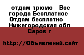 отдам трюмо - Все города Бесплатное » Отдам бесплатно   . Нижегородская обл.,Саров г.